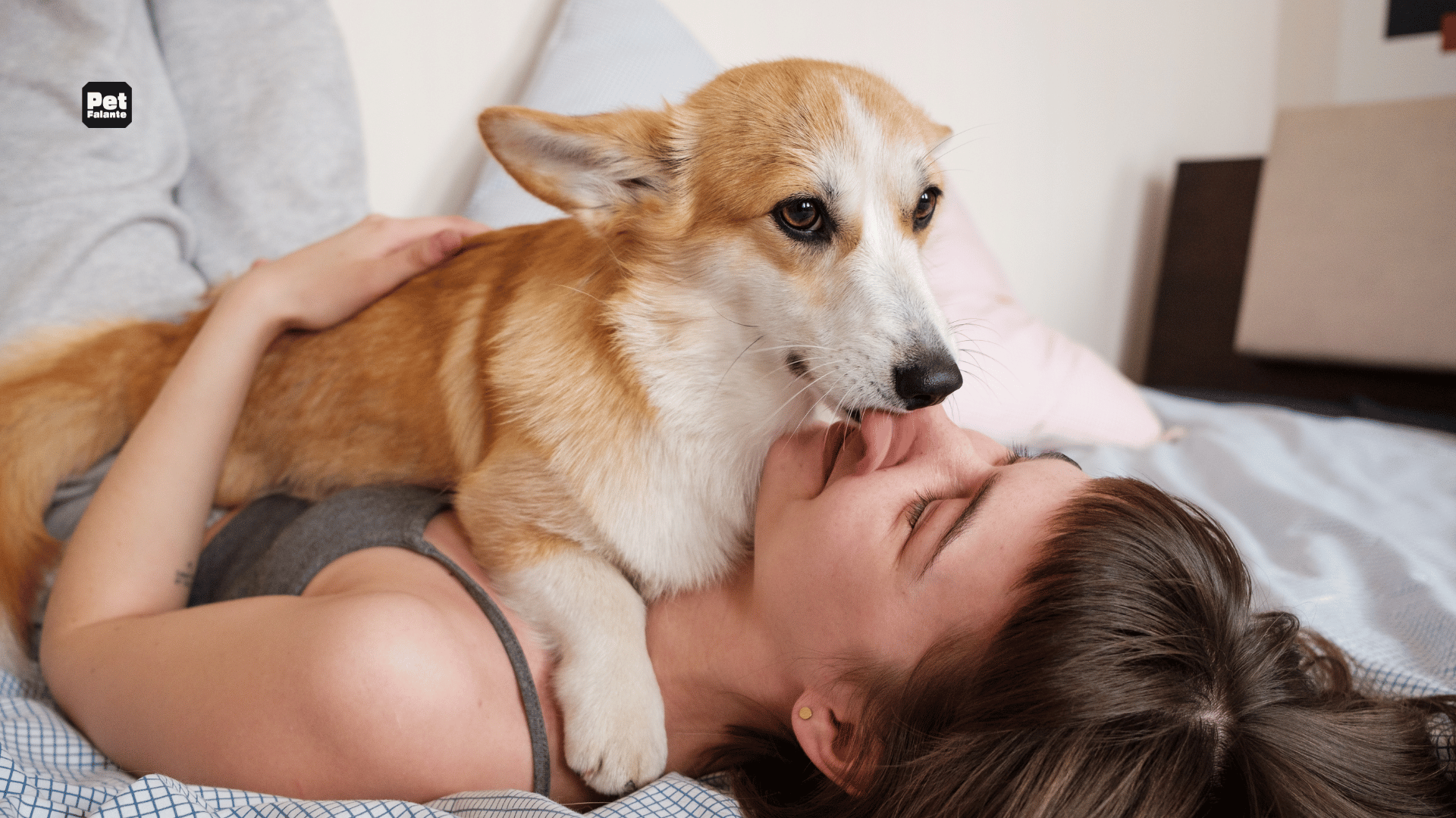 Qual é a Raça de Cachorro Mais Carinhosa?